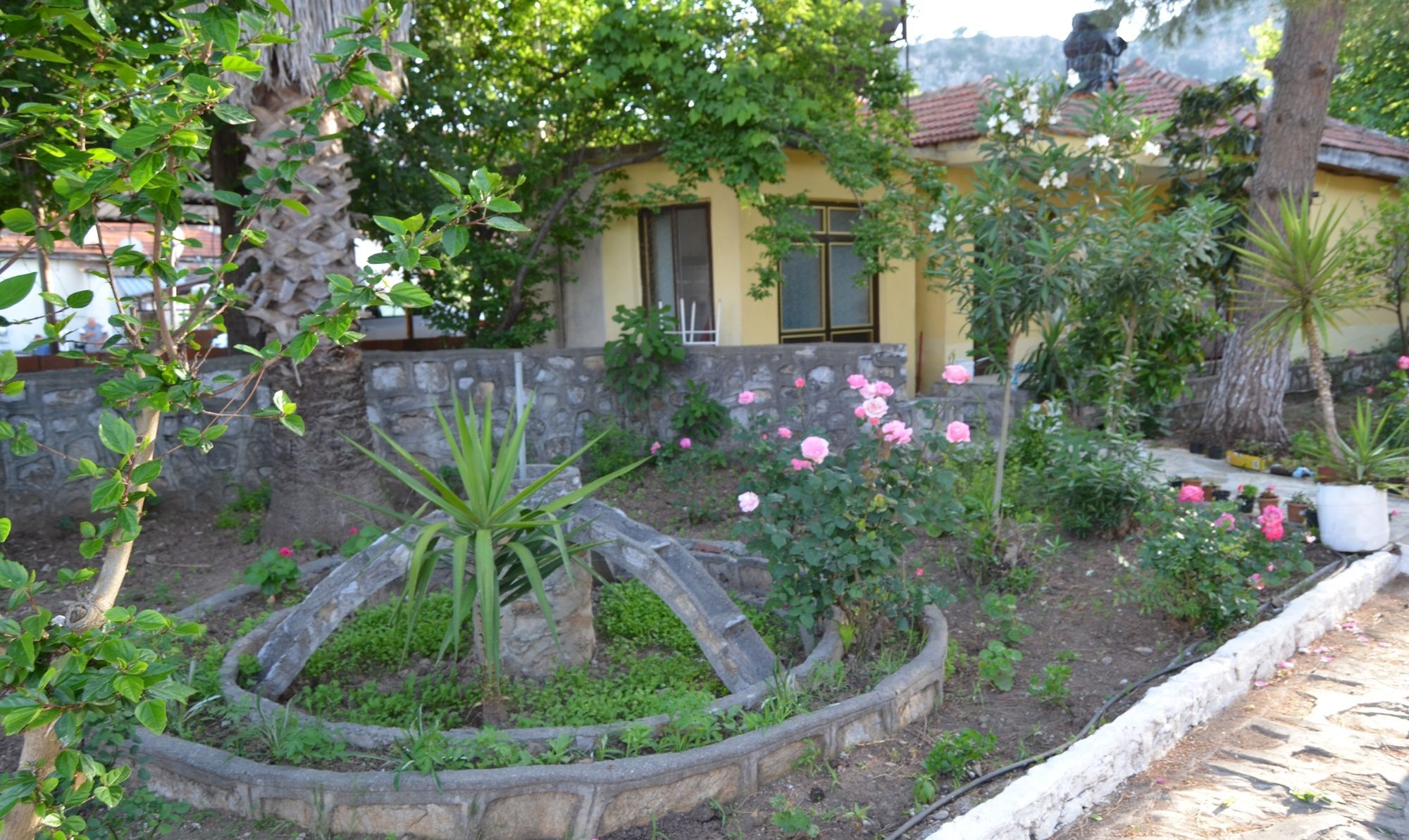 Dalyan Patio Hotel Exterior photo